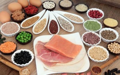 Protein: Not too Much, Not too Little – Just Enough